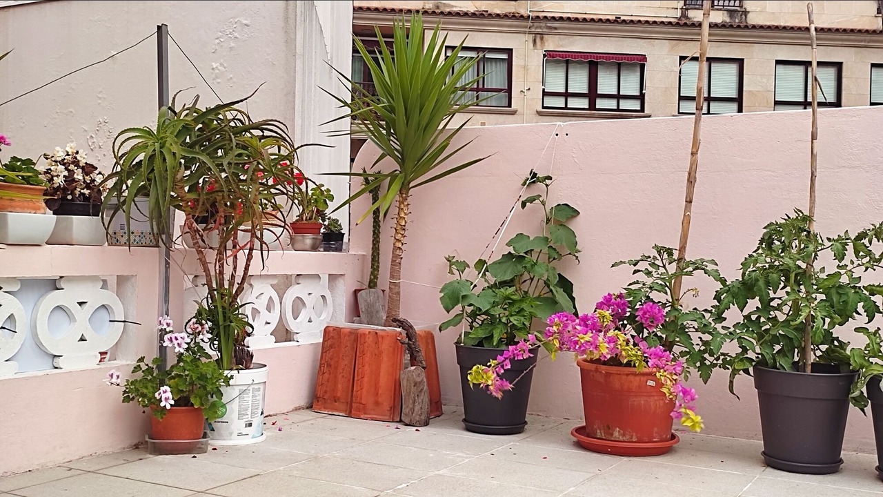 Photo of Outdoor in Bueu