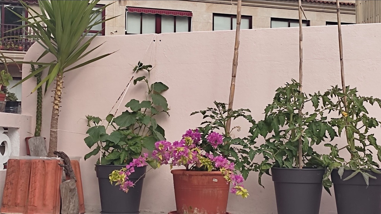 Photo of Outdoor in Bueu