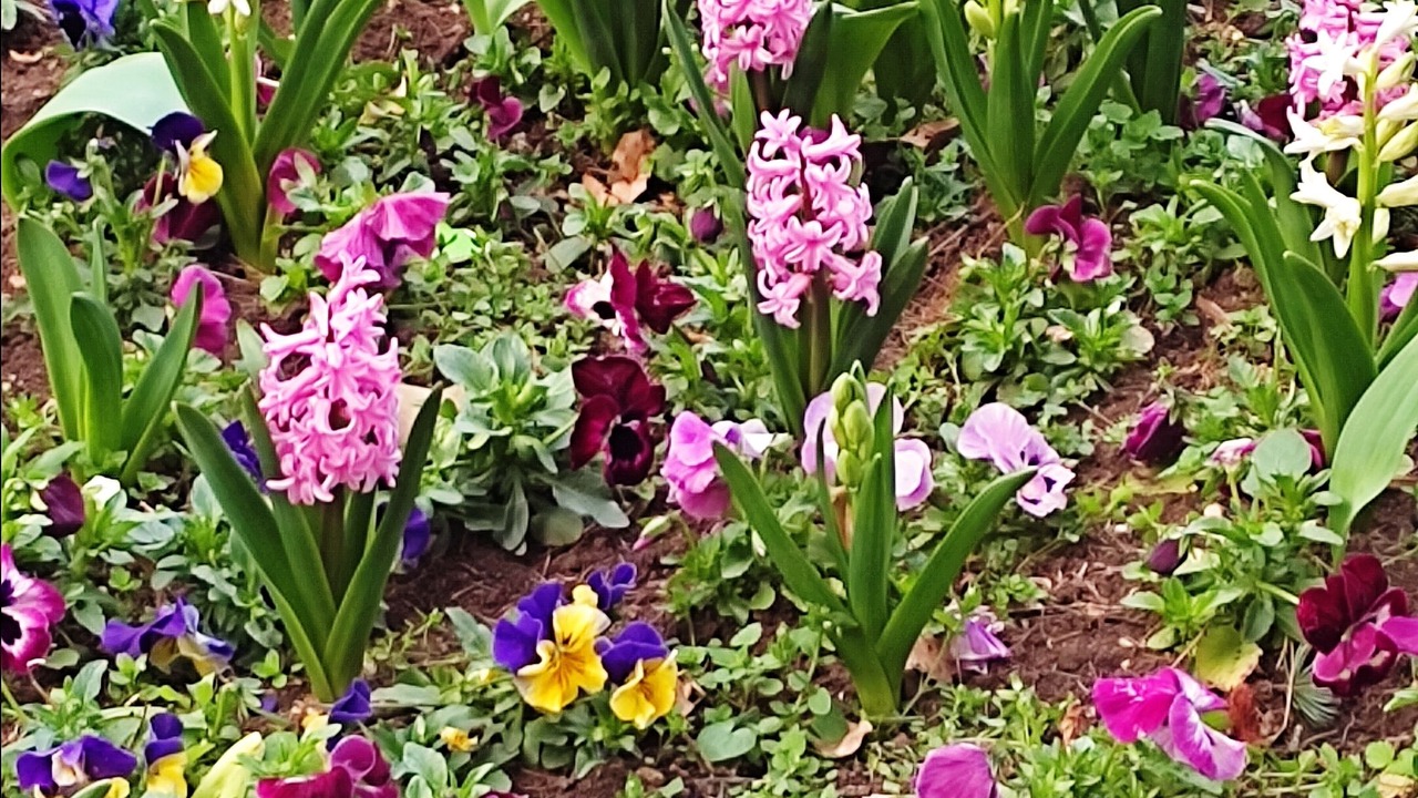 Photo of Outdoor in Bueu