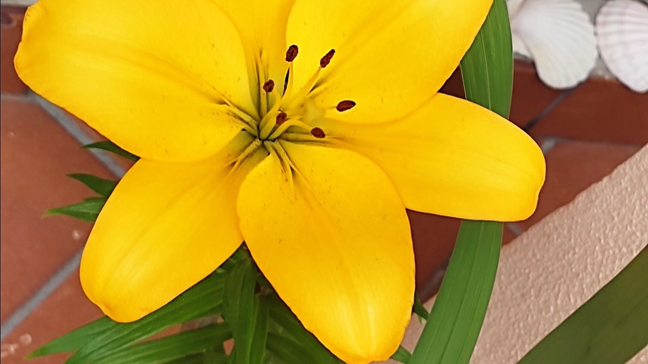 Photo of Outdoor in Bueu