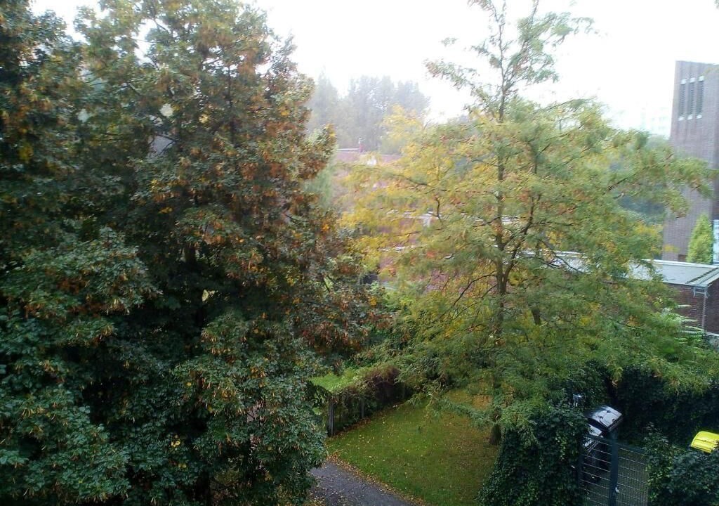 Photo of Outdoor in Friedrichsfelde
