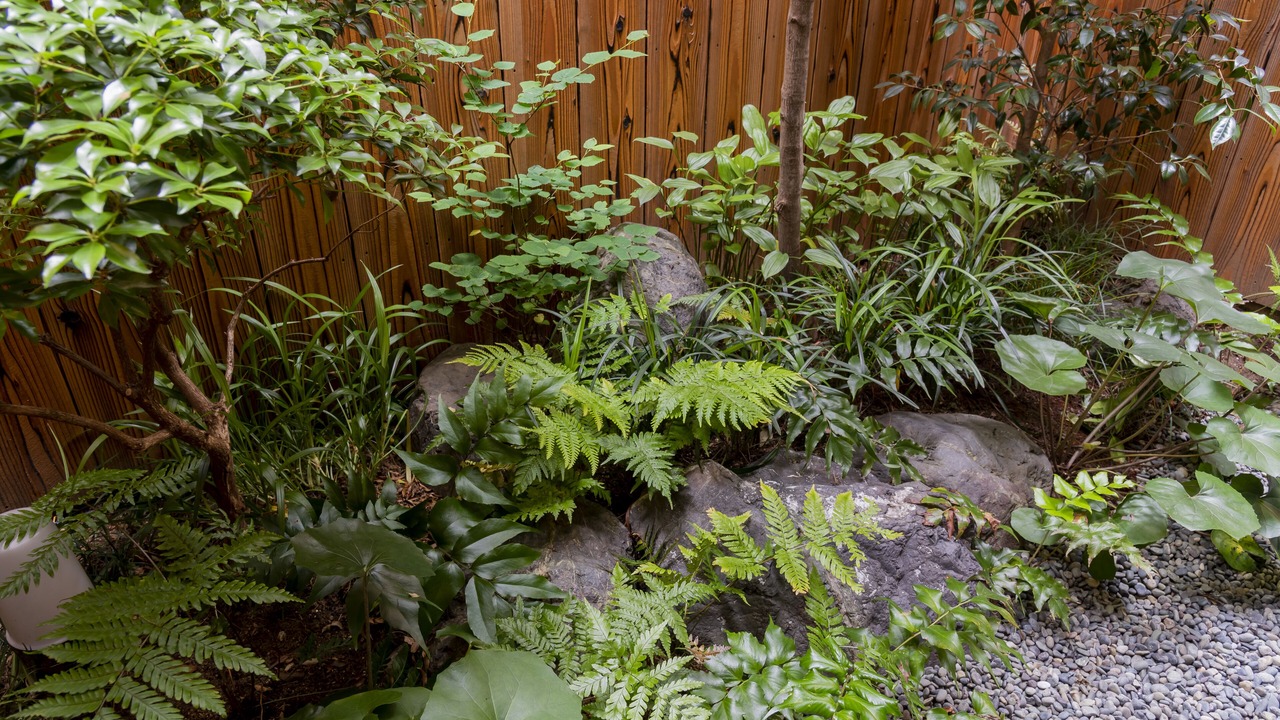 Photo of Outdoor in Nishijin