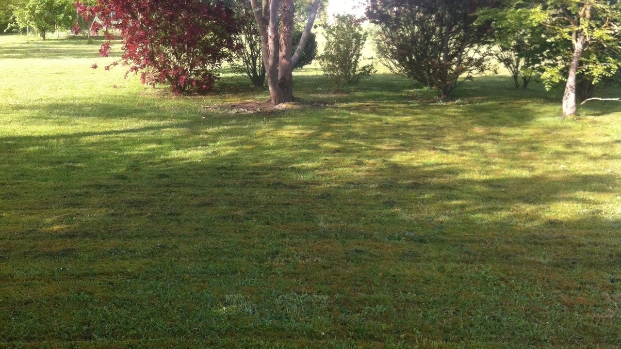 Photo of Others in Beaulieu-sur-Loire