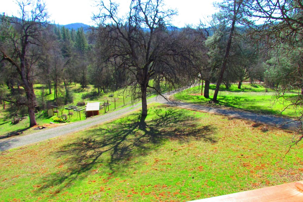 Photo of Others in Midpines