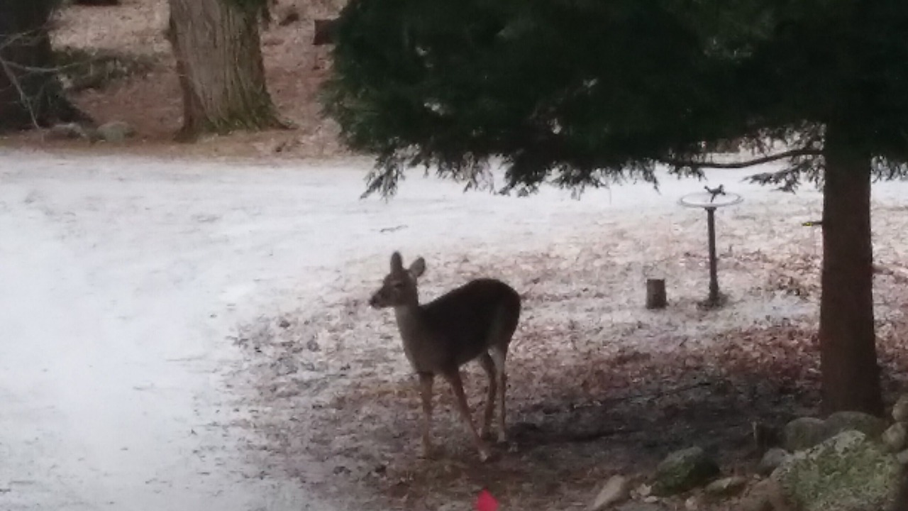 Photo of Outdoor in Gloversville