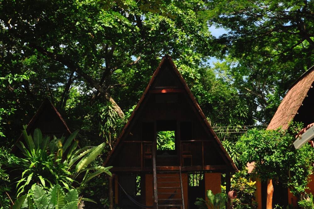 Photo of Outdoor in Cabuya