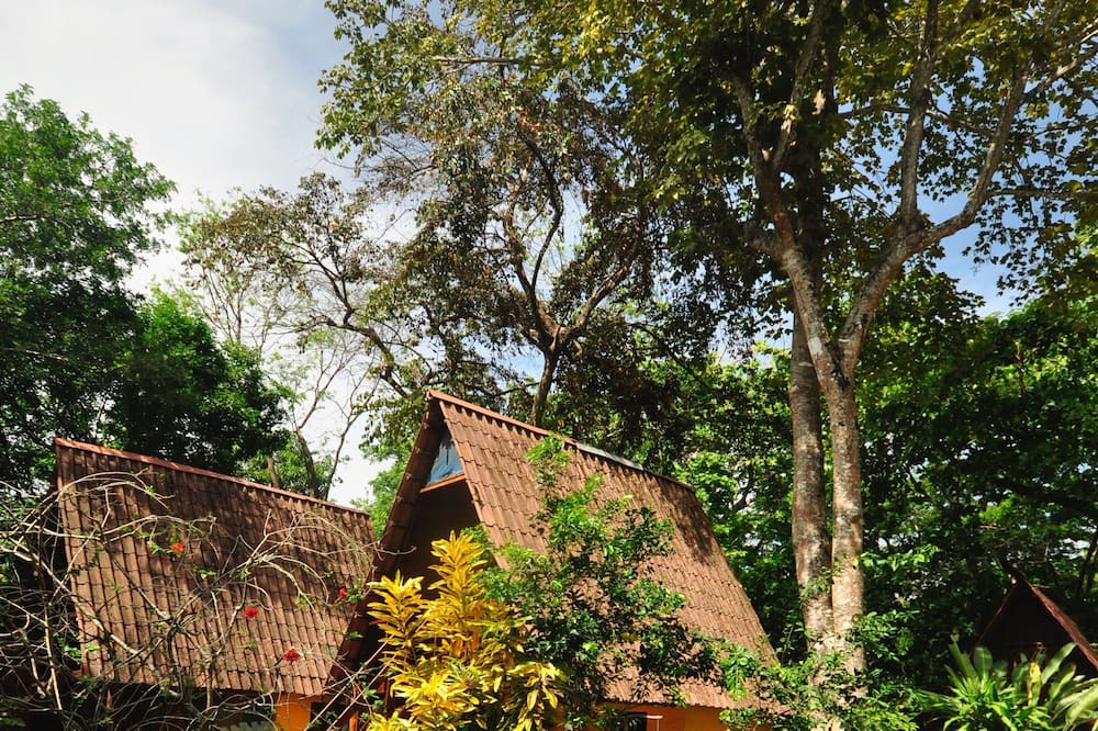 Photo of Outdoor in Cabuya