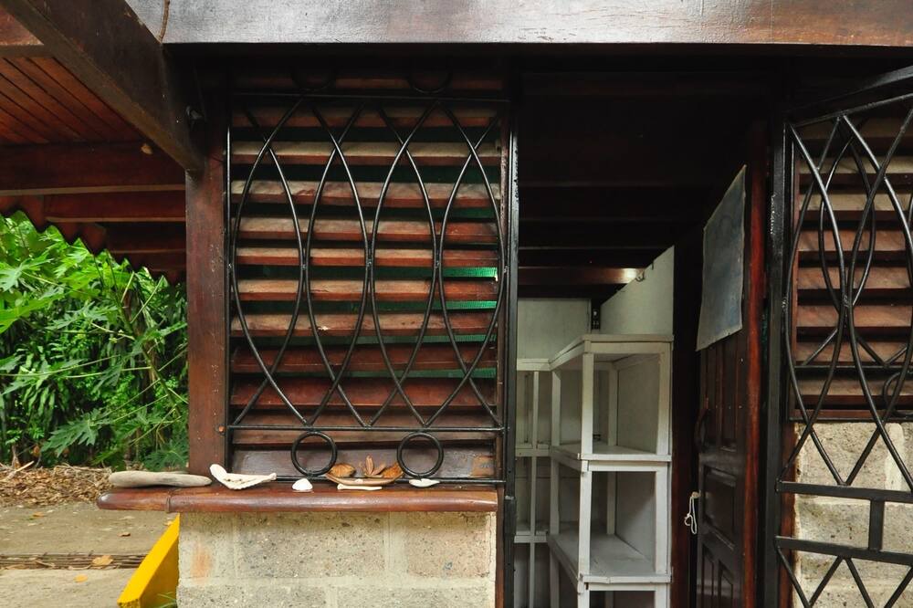 Photo of Patio Balcony in Cabuya