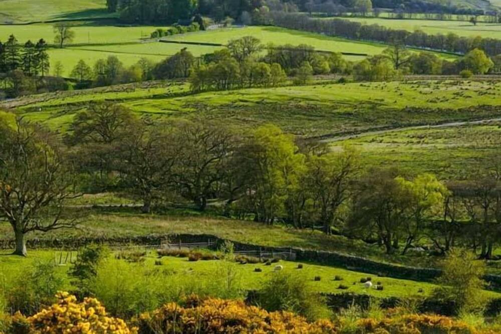 Photo of Others in Hexham