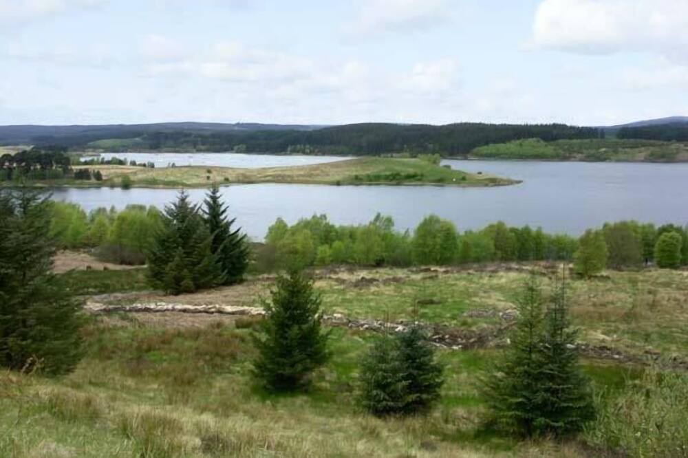 Photo of Others in Hexham