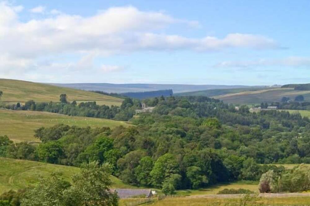 Photo of Others in Hexham
