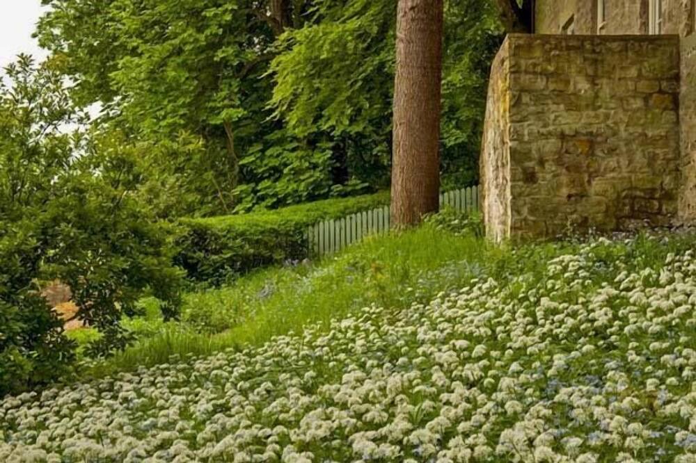 Photo of Outdoor in Hexham