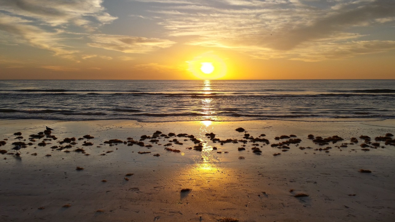 Photo of Others in South Padre Island