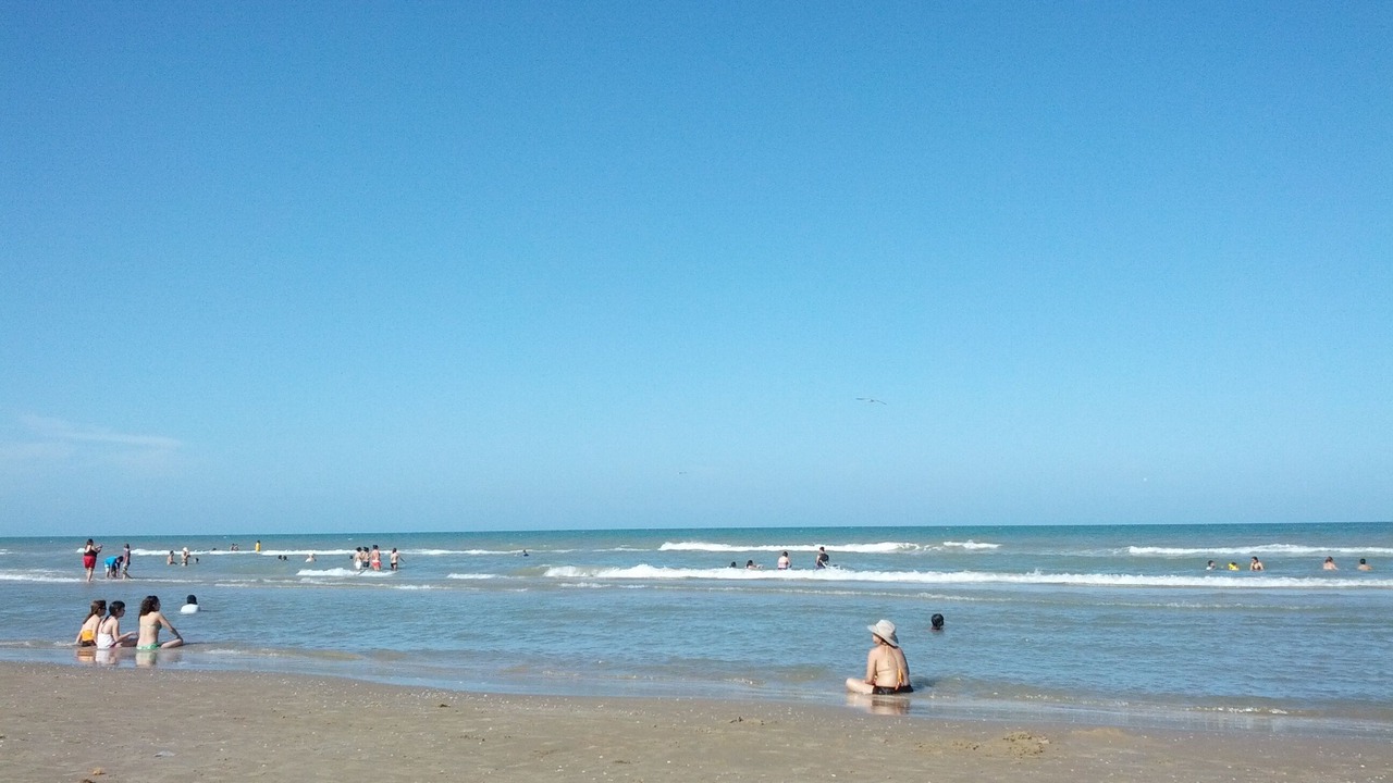 Photo of Others in South Padre Island