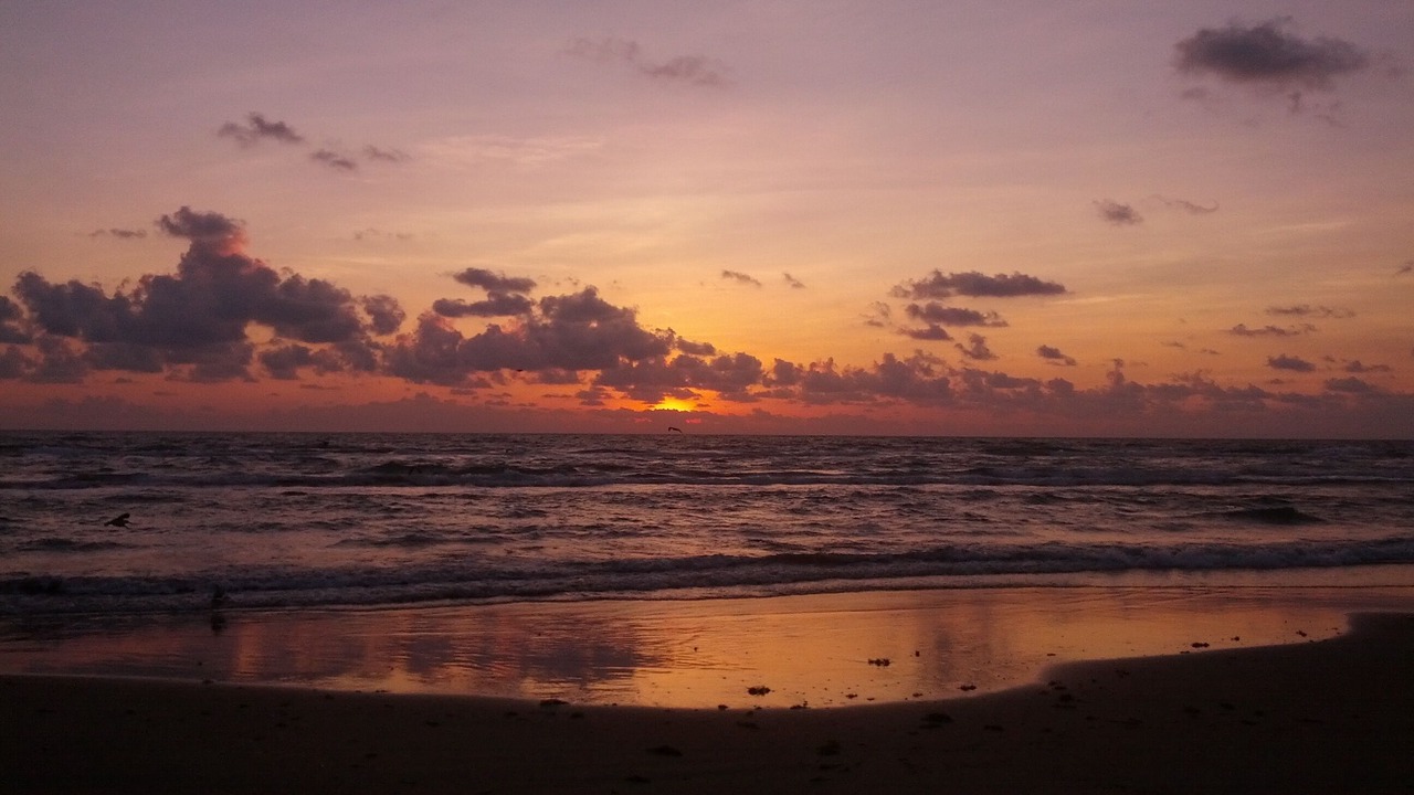 Photo of Others in South Padre Island