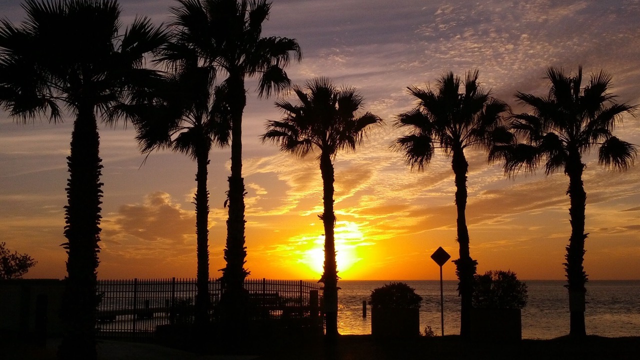 Photo of Others in South Padre Island