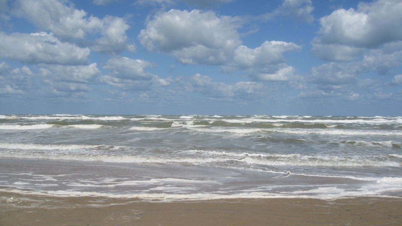 Photo of Others in South Padre Island