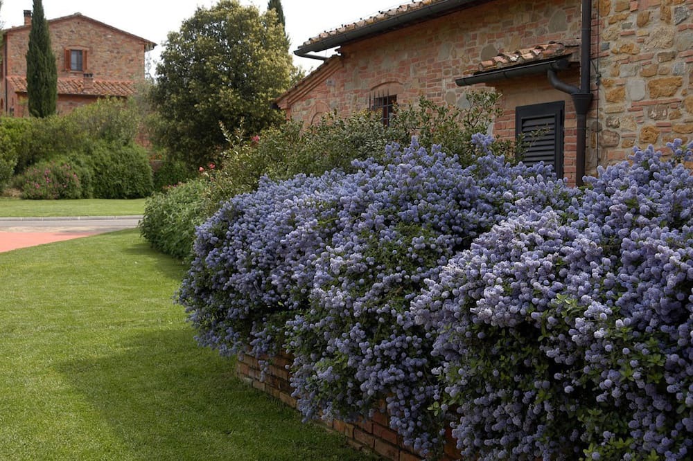 Photo of Outdoor in Montaione