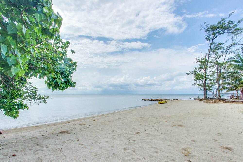 Photo of Others in Dangriga