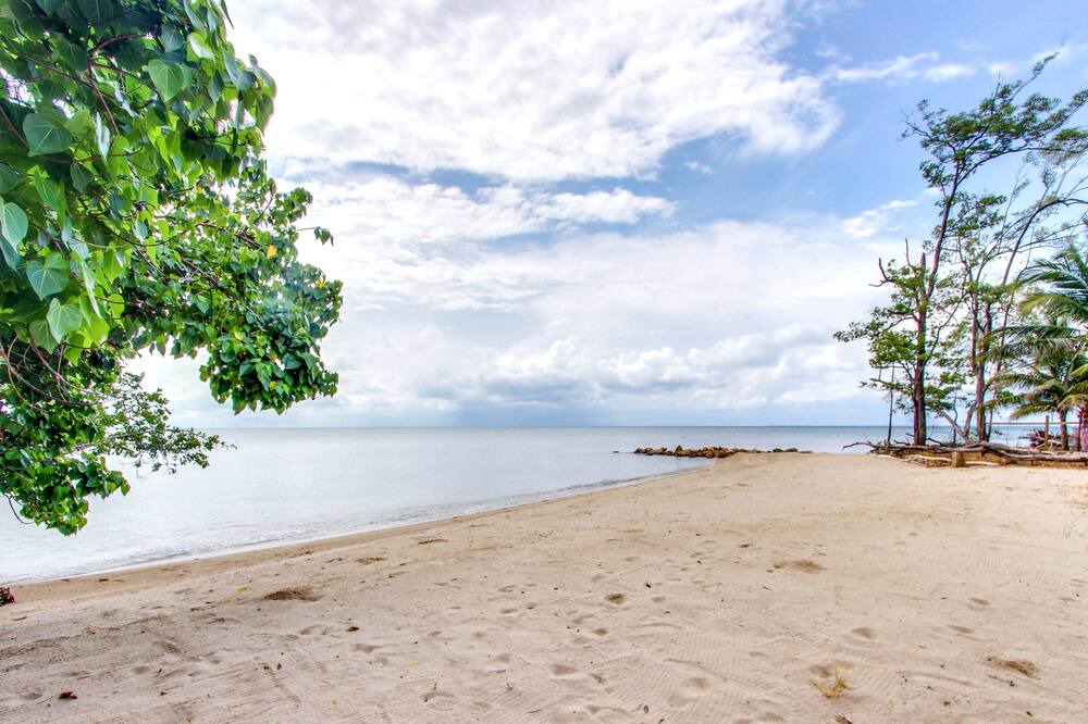 Photo of Others in Dangriga
