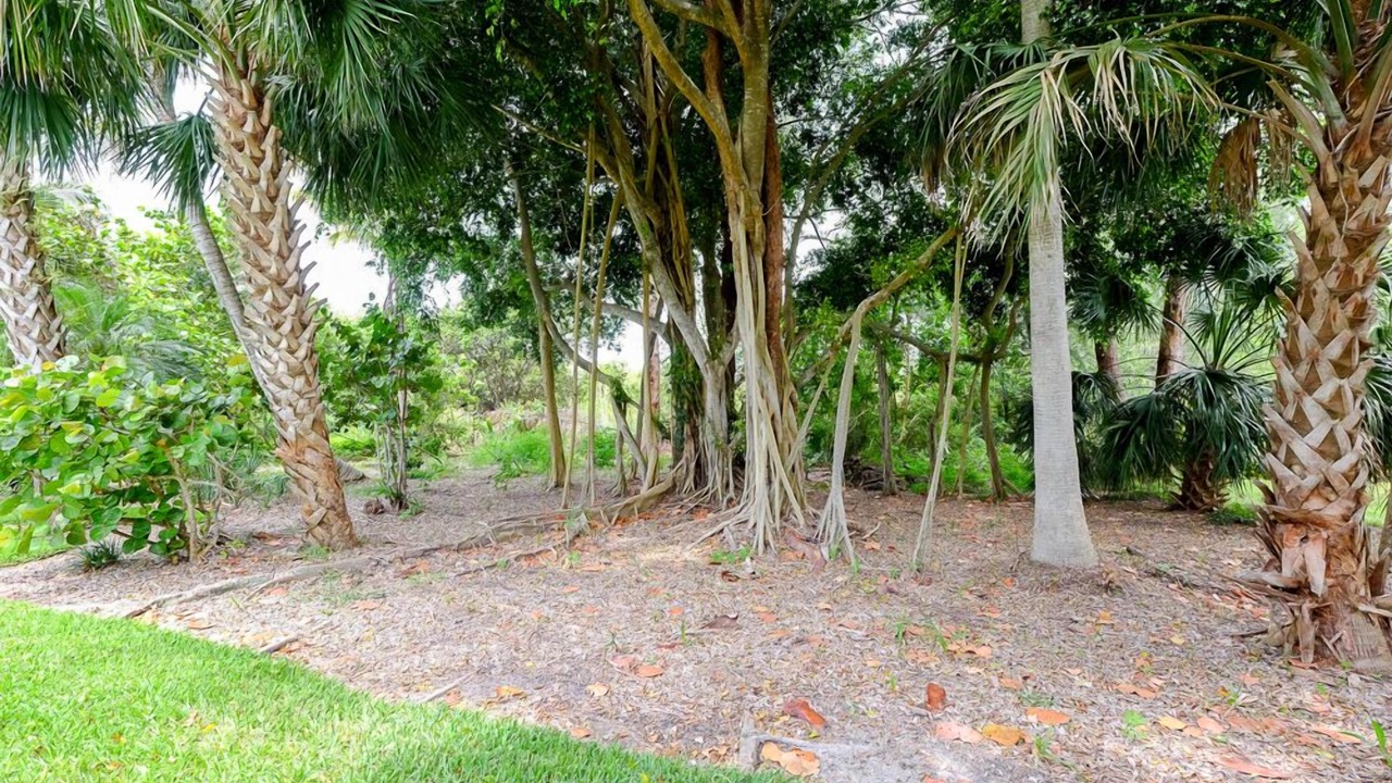 Photo of Outdoor in The Dunes