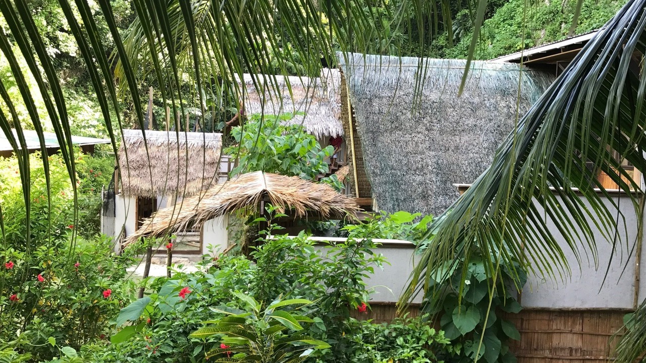 Photo of Outdoor in Airai
