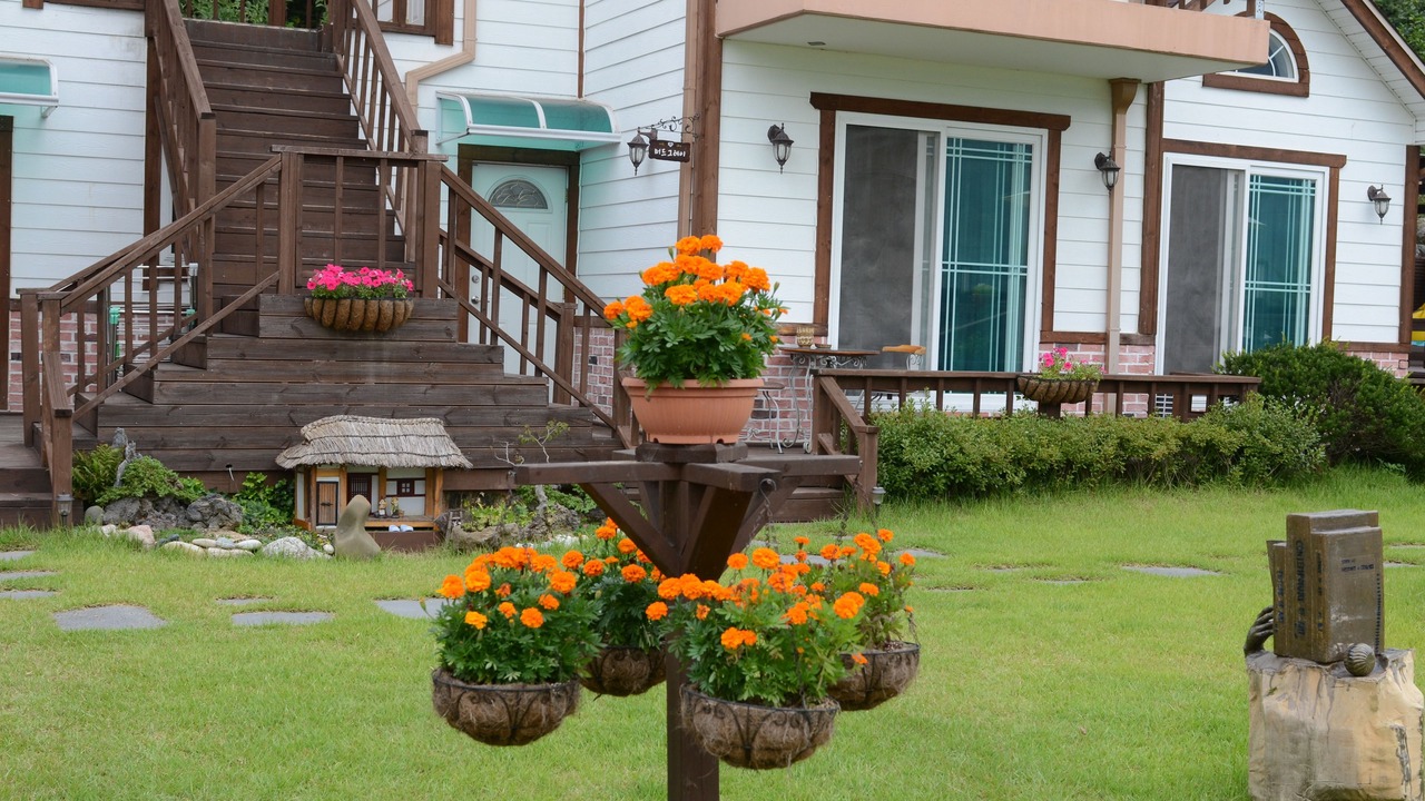 Photo of Outdoor in Seo