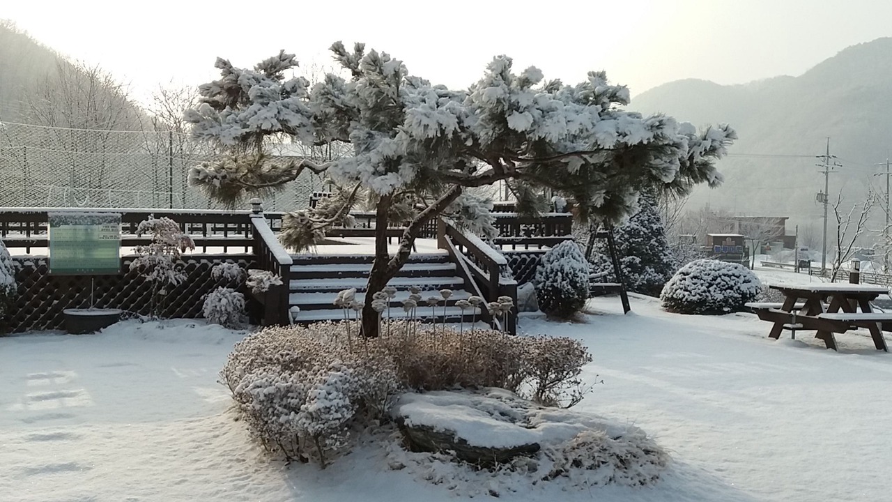 Photo of Outdoor in Seo