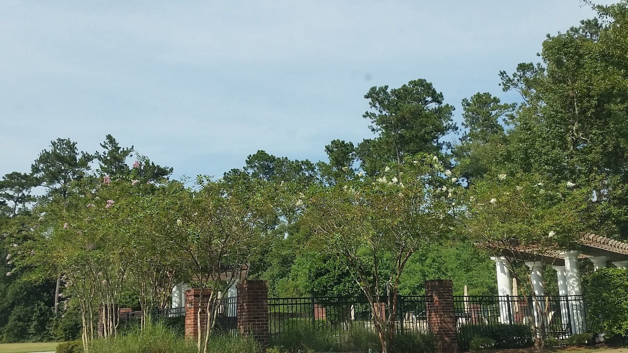 Photo of Outdoor in Springfield
