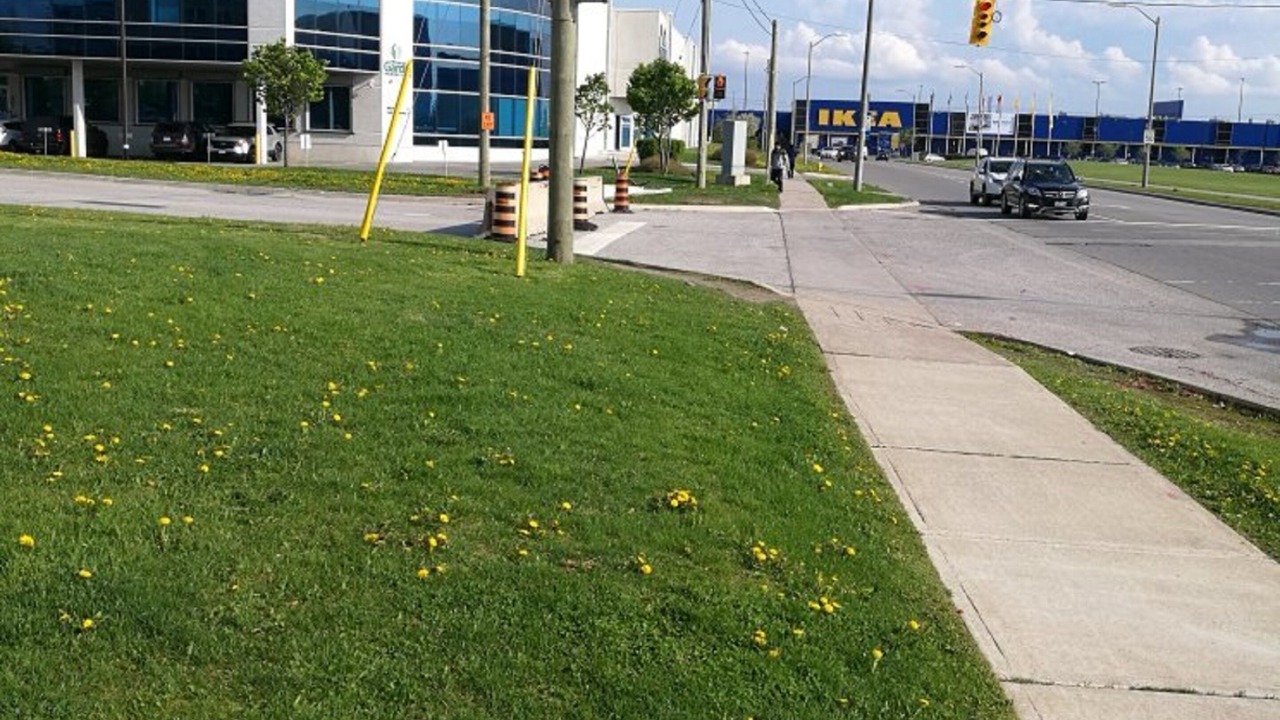 Photo of Others in Vaughan