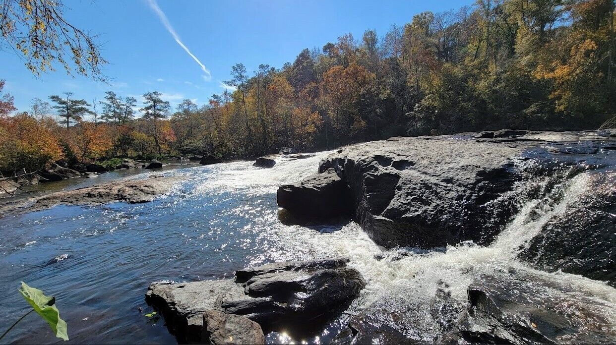 Photo of Others in Forsyth
