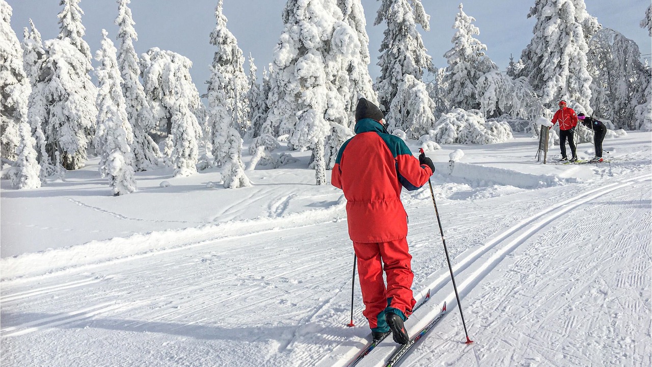 Photo of Others in Ljordal