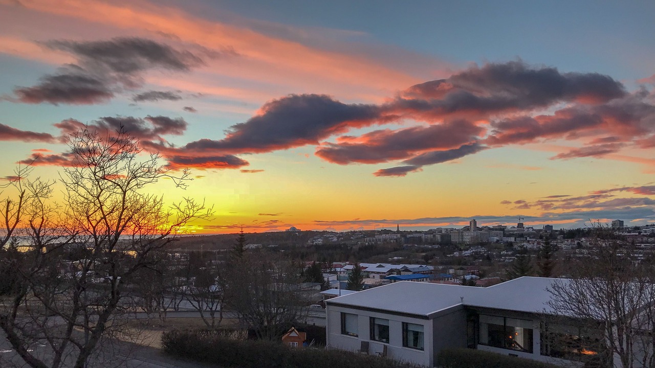 Photo of Others in Reykjavik