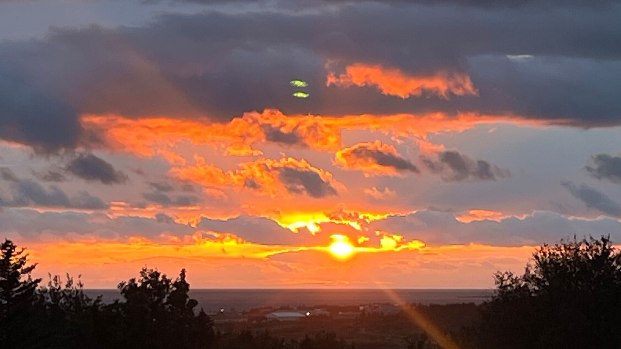 Photo of Others in Reykjavik