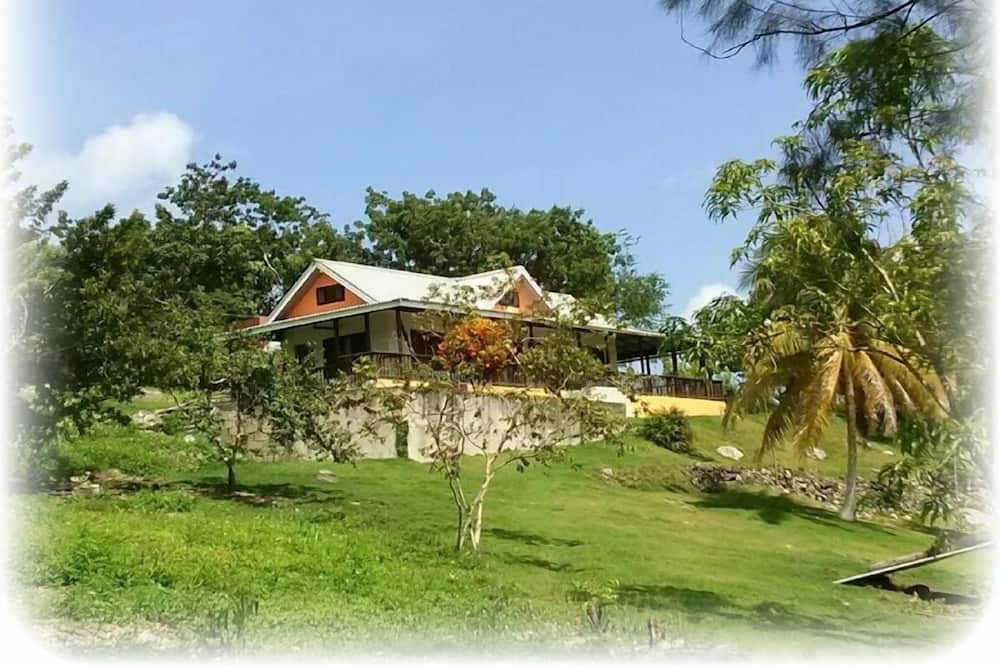 Photo of Others in Negril
