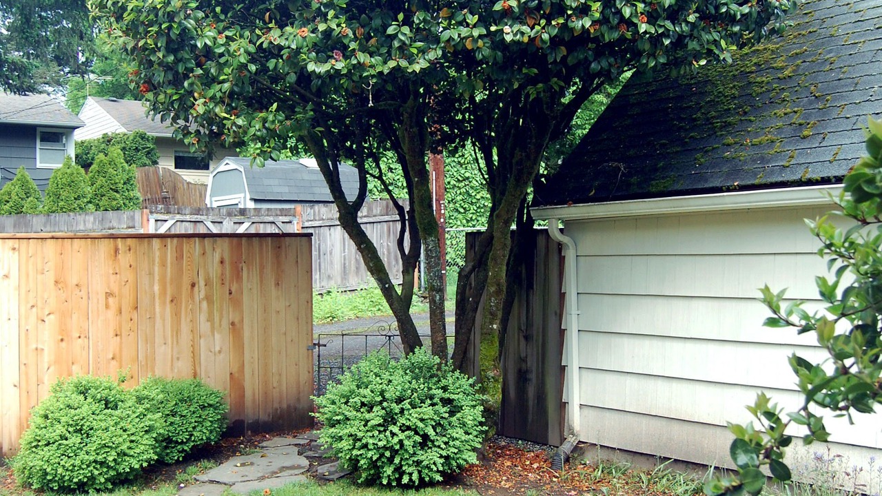 Photo of Outdoor in First Addition