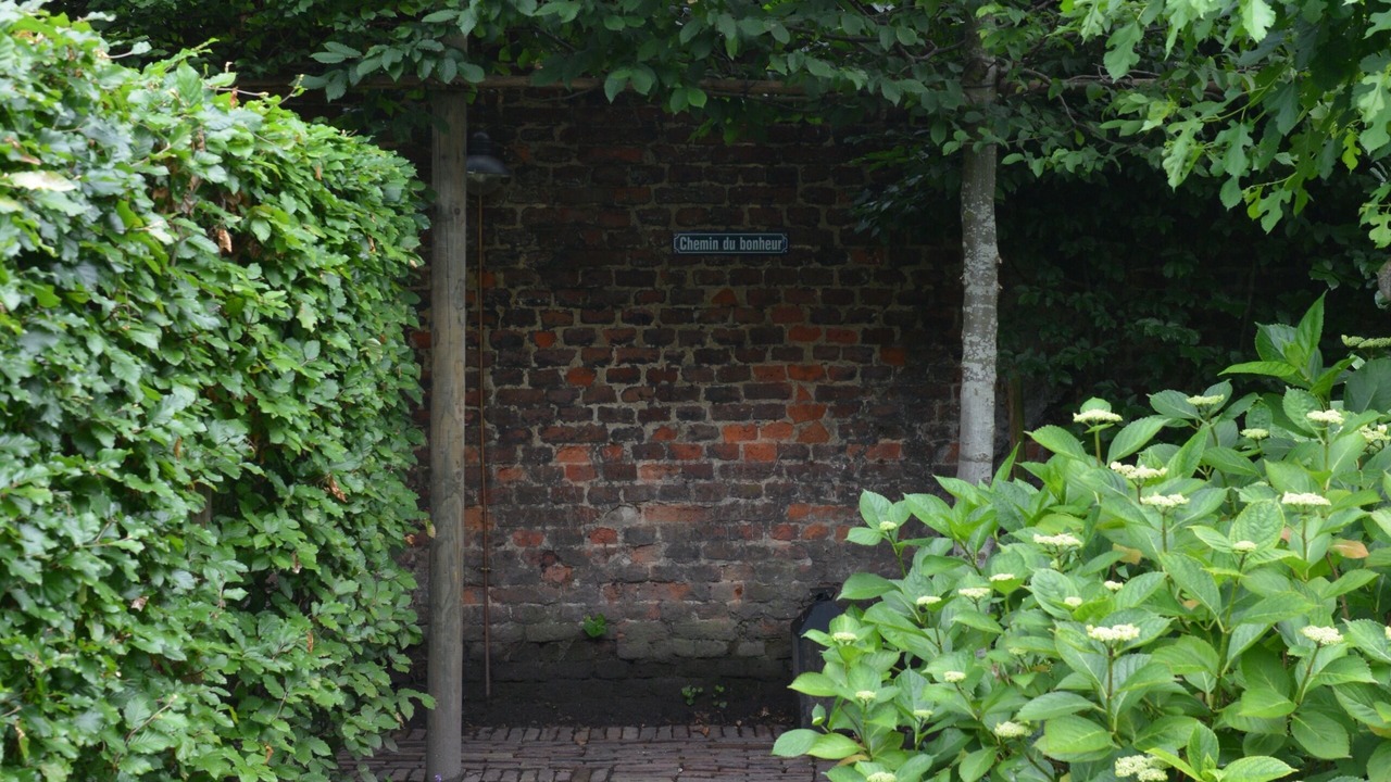 Photo of Outdoor in Hasselt