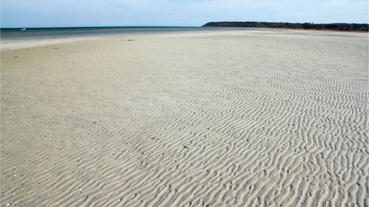 Photo of Others in Bønnerup Strand