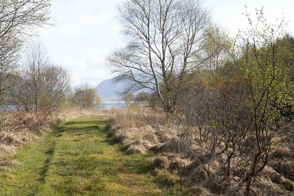 Photo of Others in Taynuilt