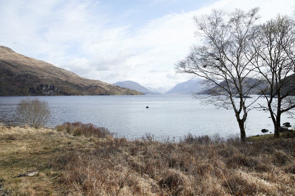 Photo of Others in Taynuilt