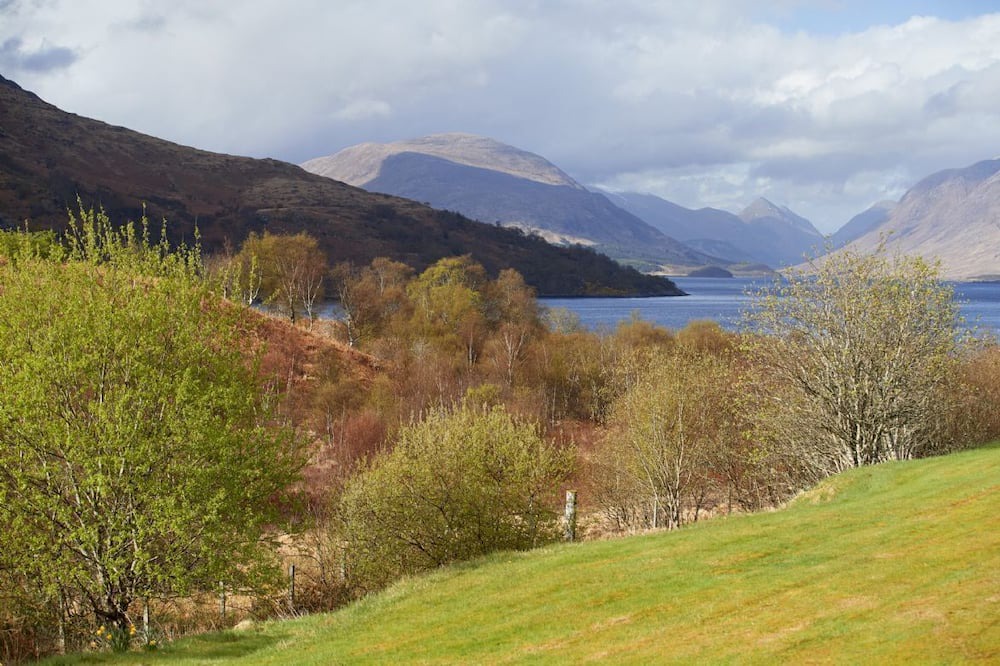 Photo of Others in Taynuilt