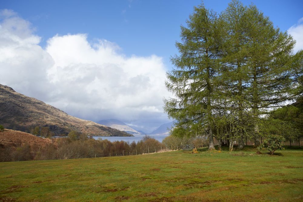 Photo of Others in Taynuilt