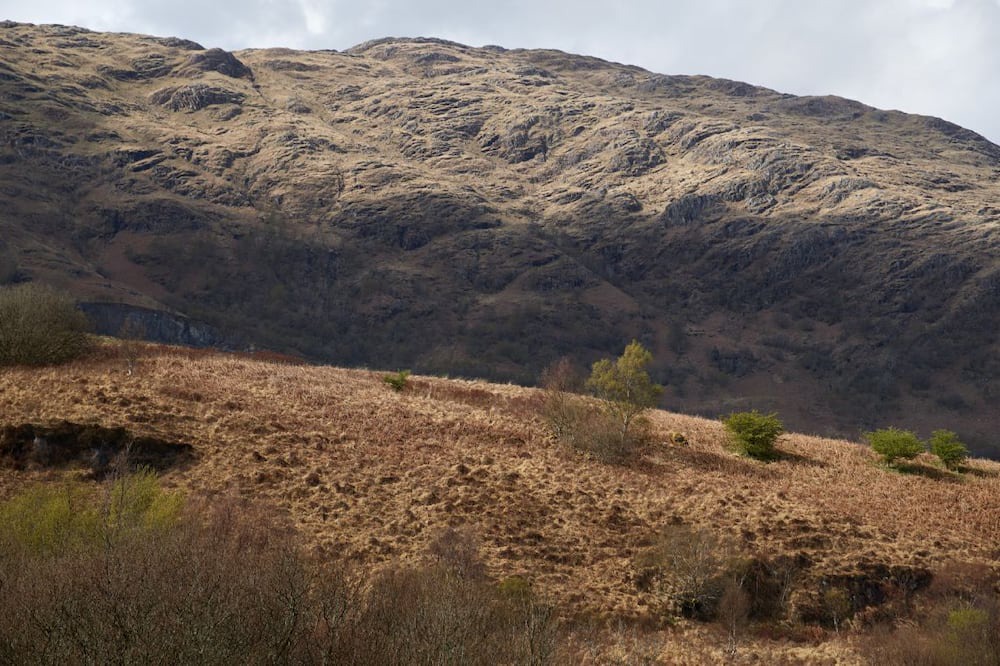 Photo of Others in Taynuilt
