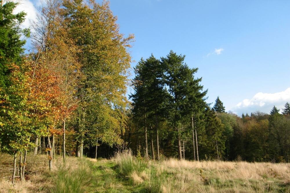 Photo of Others in La Roche-en-Ardenne