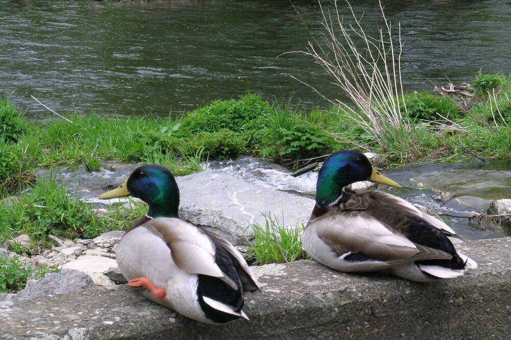 Photo of Others in La Roche-en-Ardenne