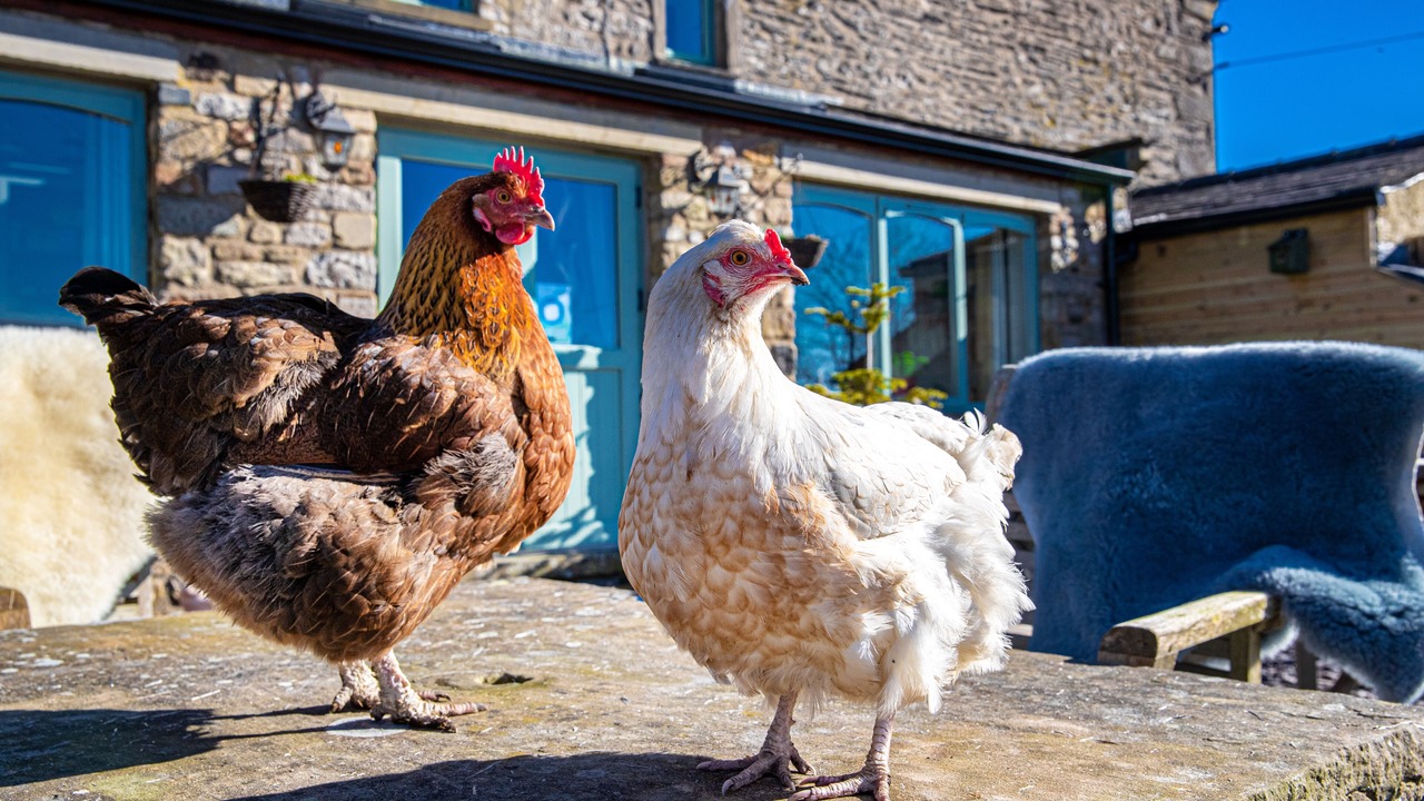Photo of Outdoor in Settle