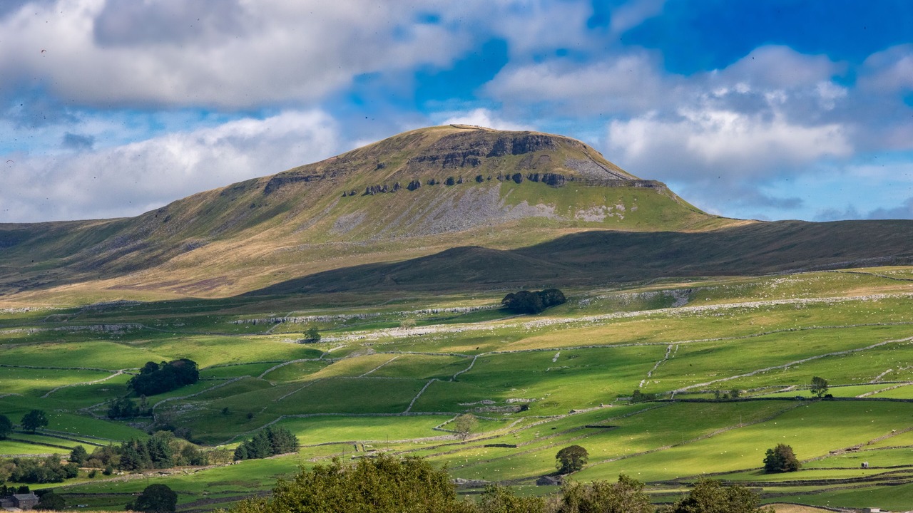 Photo of Others in Settle