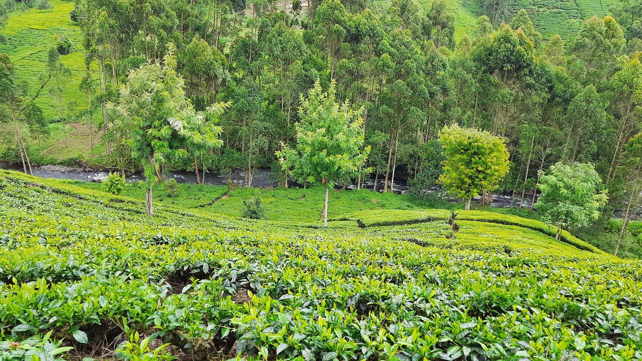 Photo of Outdoor in Kiamuturi