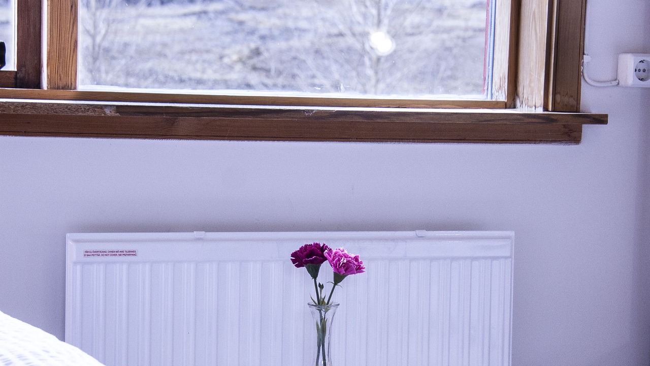 Photo of Others in Djupivogur