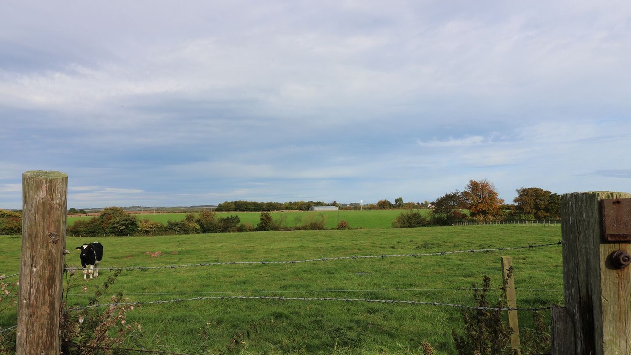 Photo of Others in Berwick-upon-Tweed